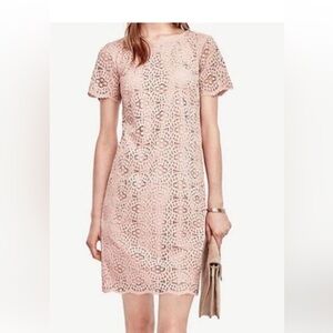 Ann Taylor Lace dress size 4